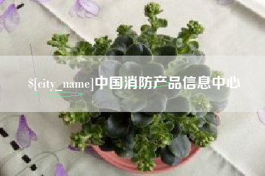 商丘中国消防产品信息中心