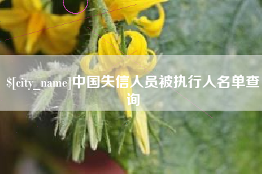 商丘中国失信人员被执行人名单查询
