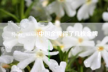 商丘中国金牌得了几枚金牌