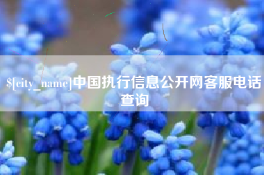 商丘中国执行信息公开网客服电话查询