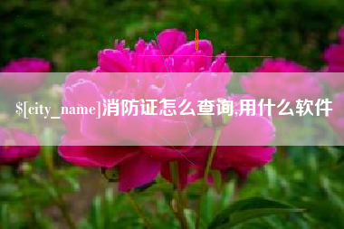 商丘消防证怎么查询,用什么软件