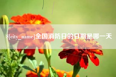 商丘全国消防日的日期是哪一天