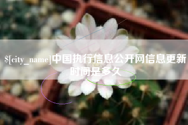 商丘中国执行信息公开网信息更新时间是多久