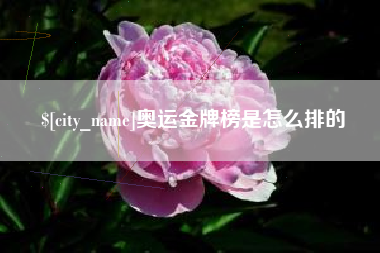 商丘奥运金牌榜是怎么排的