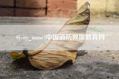商丘中国消防救援教育网