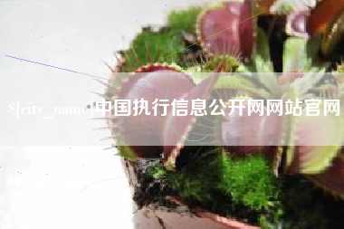 商丘中国执行信息公开网网站官网