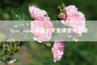 商丘中国十大金牌律师名单