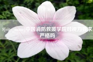 商丘中国消防救援学院对视力要求严格吗