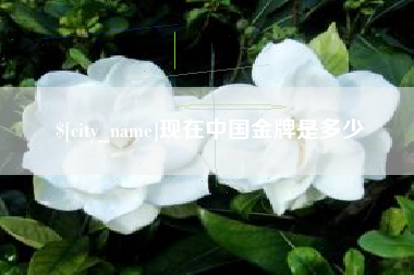 商丘现在中国金牌是多少
