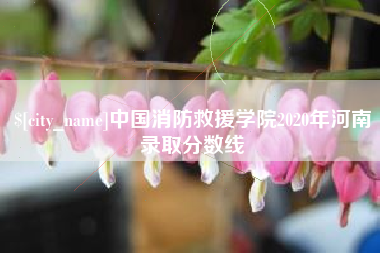商丘中国消防救援学院2020年河南录取分数线