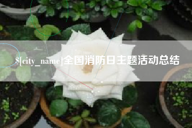 商丘全国消防日主题活动总结
