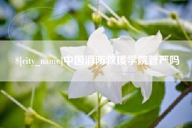 商丘中国消防救援学院管严吗