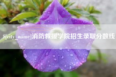 商丘消防救援学院招生录取分数线