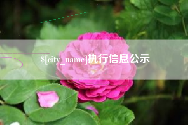 商丘执行信息公示