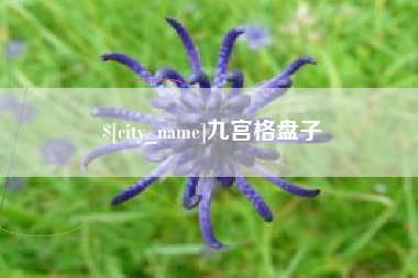 商丘九宫格盘子