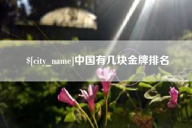 商丘中国有几块金牌排名