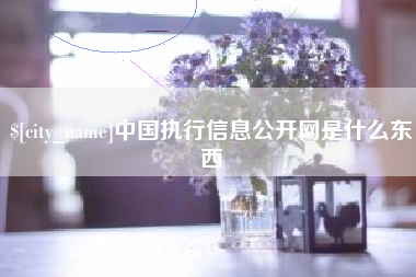 商丘中国执行信息公开网是什么东西