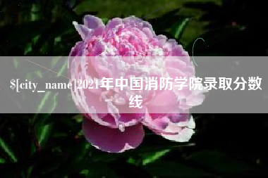 商丘2021年中国消防学院录取分数线