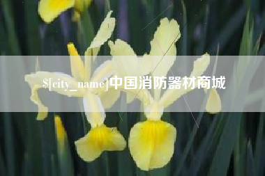 商丘中国消防器材商城