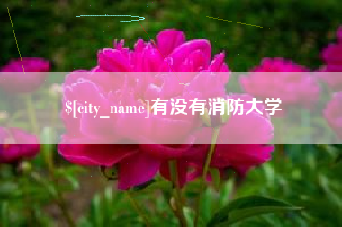 商丘有没有消防大学