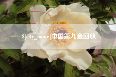 商丘中国第九金回放