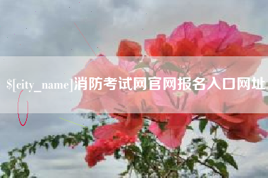 商丘消防考试网官网报名入口网址