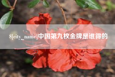 商丘中国第九枚金牌是谁得的