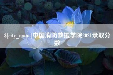 商丘中国消防救援学院2021录取分数