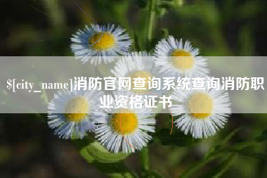 商丘消防官网查询系统查询消防职业资格证书