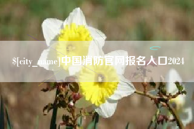 商丘中国消防官网报名入口2024