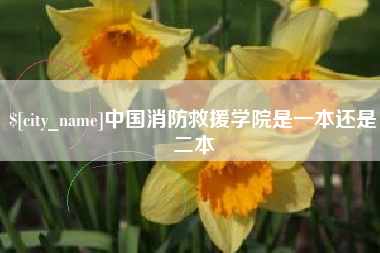 商丘中国消防救援学院是一本还是二本