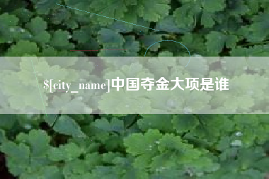 商丘中国夺金大项是谁
