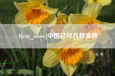 商丘中国已经几枚金牌