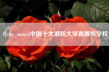 商丘中国十大消防大学有哪些学校