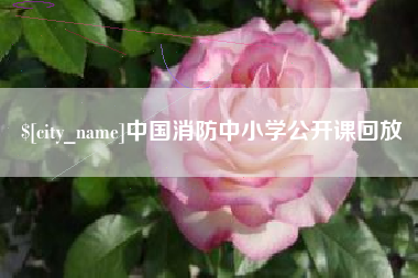 商丘中国消防中小学公开课回放