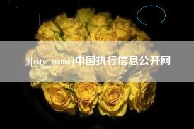 商丘中国执行信息公开网