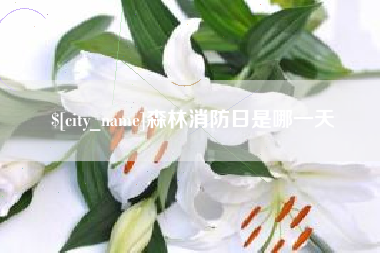 商丘森林消防日是哪一天