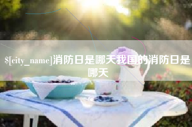 商丘消防日是哪天我国的消防日是哪天