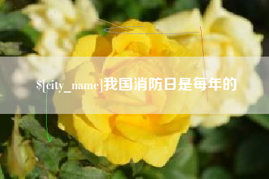 商丘我国消防日是每年的