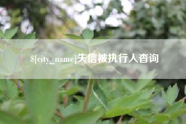 商丘失信被执行人杳询