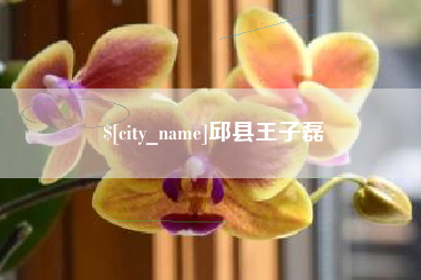 商丘邱县王子磊