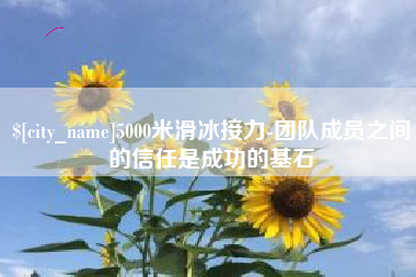 商丘5000米滑冰接力-团队成员之间的信任是成功的基石