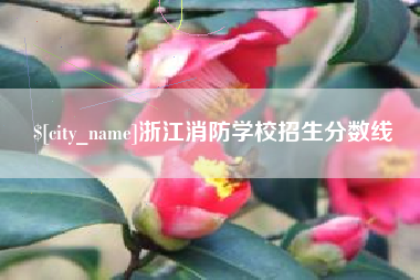 商丘浙江消防学校招生分数线