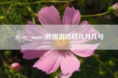 商丘我国消防日几月几号