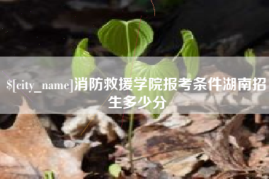 商丘消防救援学院报考条件湖南招生多少分