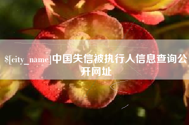 商丘中国失信被执行人信息查询公开网址