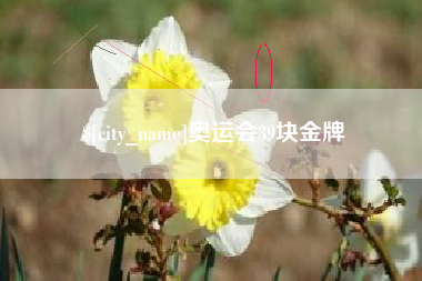 商丘奥运会39块金牌
