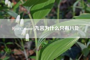 商丘九宫为什么只有八卦