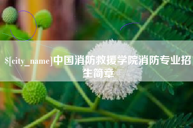 商丘中国消防救援学院消防专业招生简章