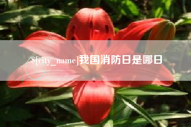 商丘我国消防日是哪日